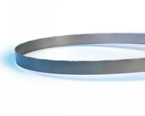 10/metal metal blade