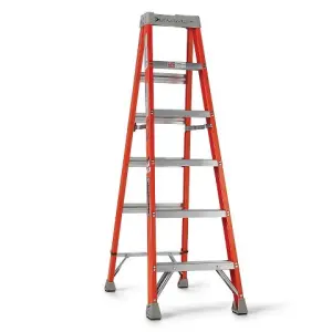 Twin step ladder