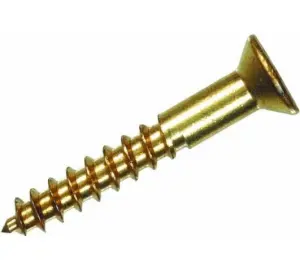 Brass wood screw