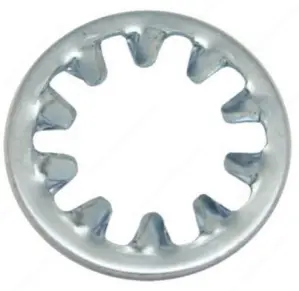 In Lock washer