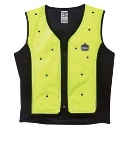 CHILL ITS VEST