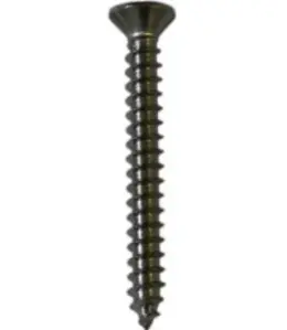 Wood screw