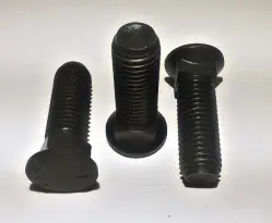 Plow Bolts
