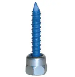 Sammy Screw