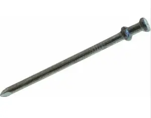 Duplex nail