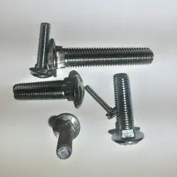 Carriage Bolts